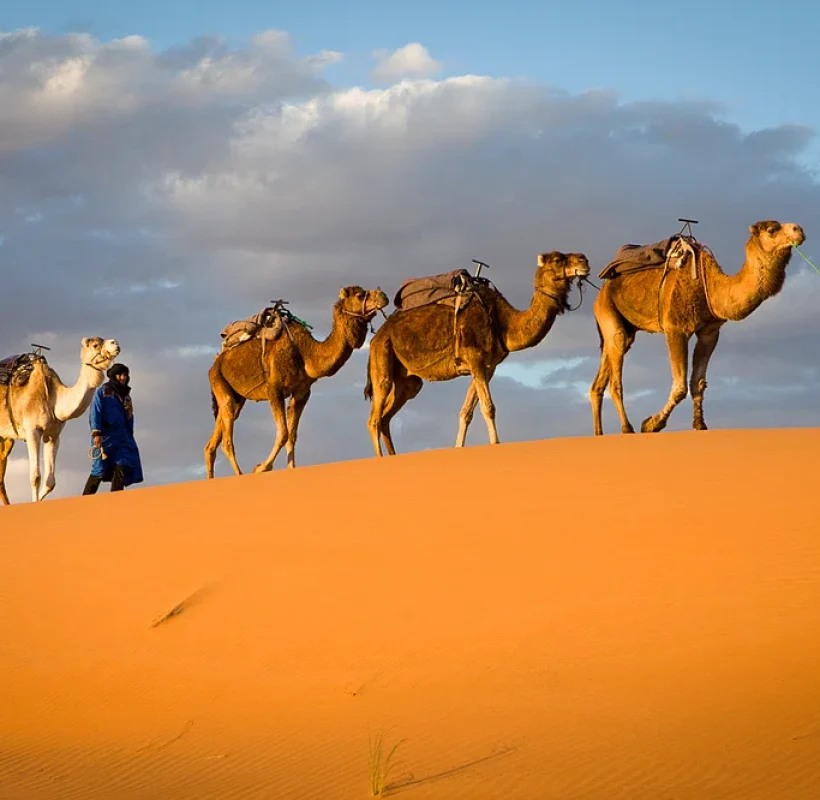 Day 6: Merzouga – Desert Nomads – Camel Trek